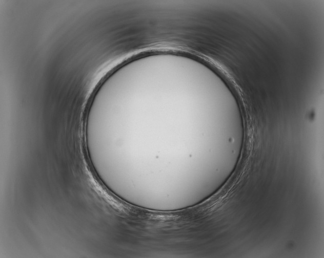 X0000115621335200912011606