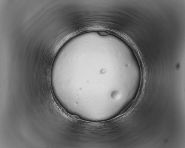 X0000115621337200912011606