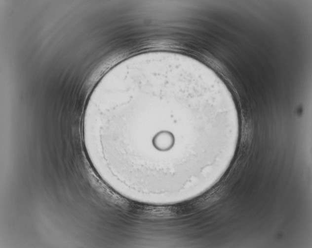 X0000115621338200912011606