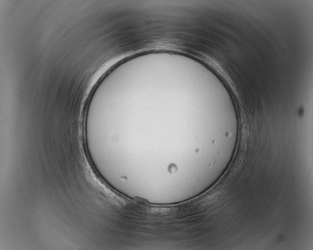 X0000115621339200912011606