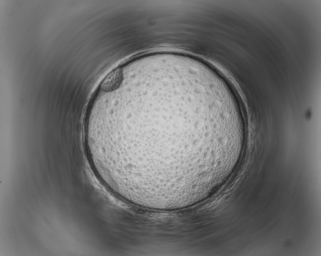 X0000115621341200912011606