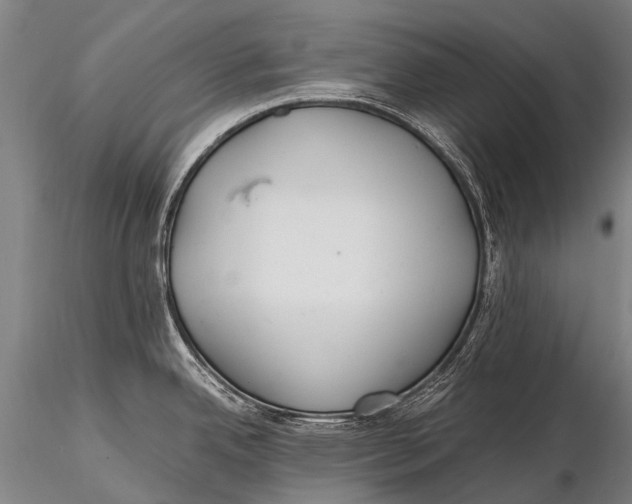 X0000115621342200912011606