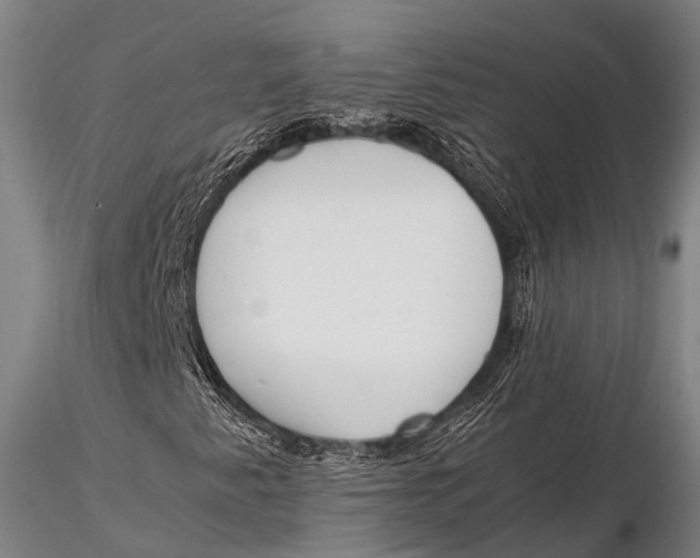 X0000115621345200912011605