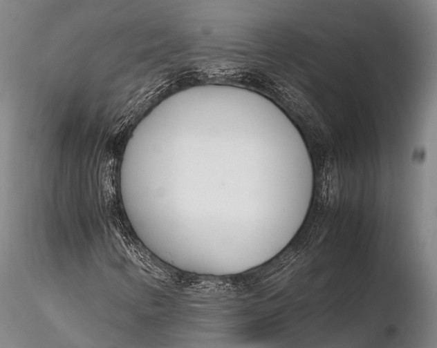 X0000115621346200912011605