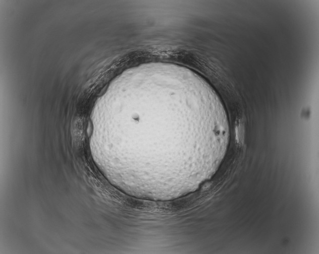 X0000115621347200912011605