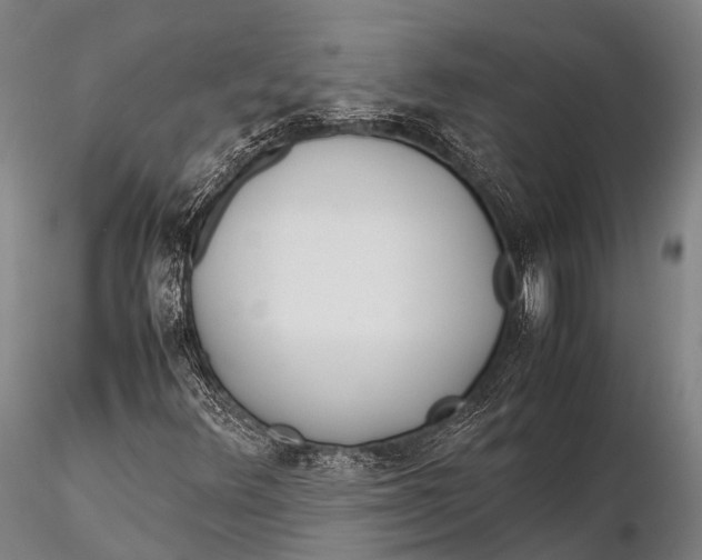 X0000115621348200912011605