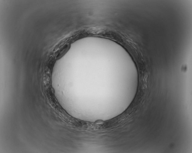 X0000115621349200912011605