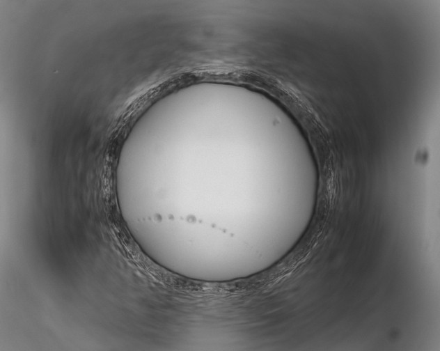 X0000115621350200912011605