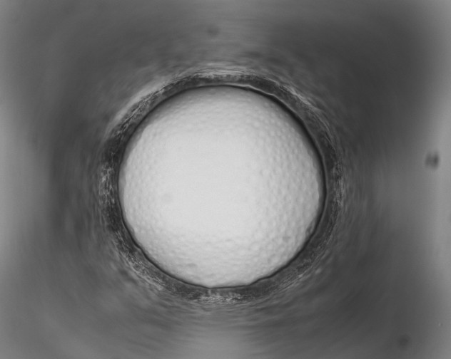 X0000115621351200912011605