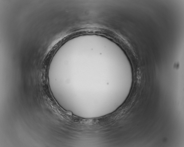 X0000115621352200912011605