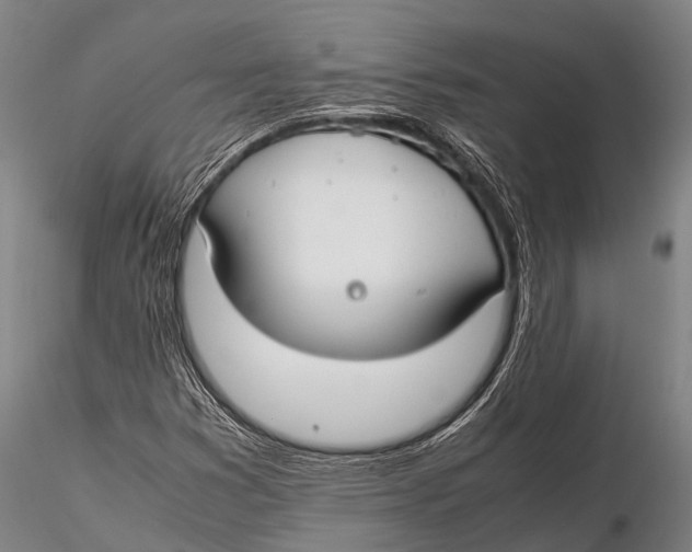 X0000115621353200912011605