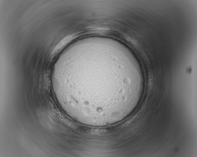 X0000115621354200912011605