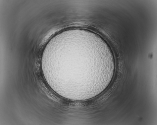 X0000115621355200912011605