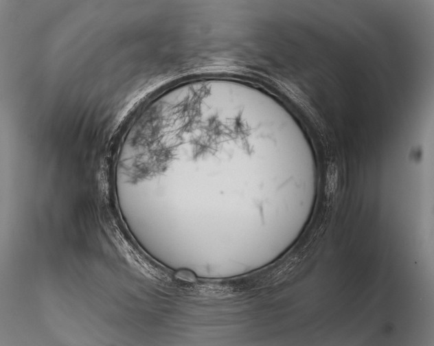 X0000115621356200912011605