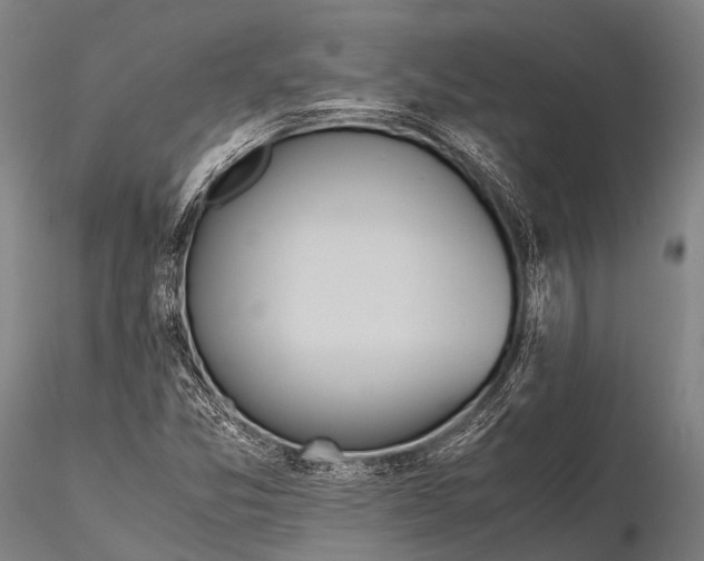 X0000115621357200912011605