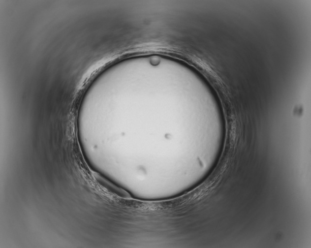 X0000115621358200912011605