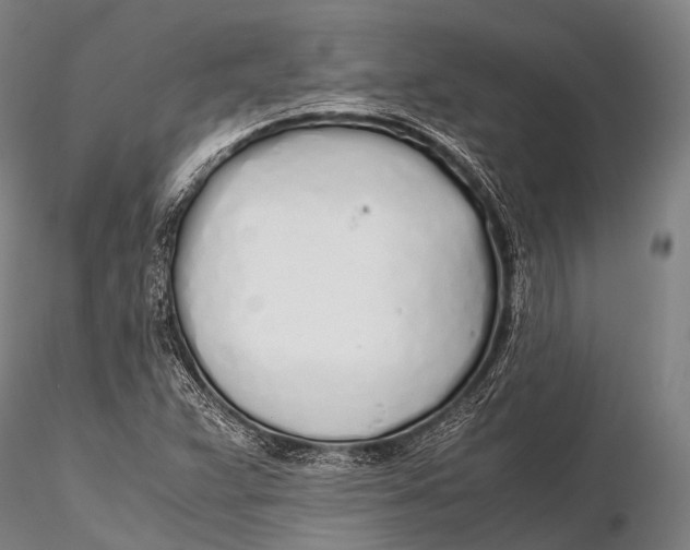 X0000115621359200912011605