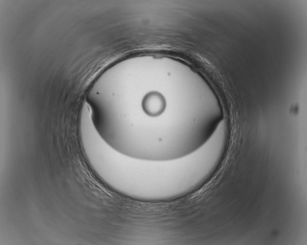 X0000115621361200912011605