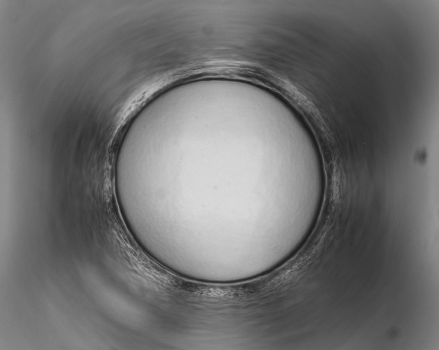 X0000115621362200912011605