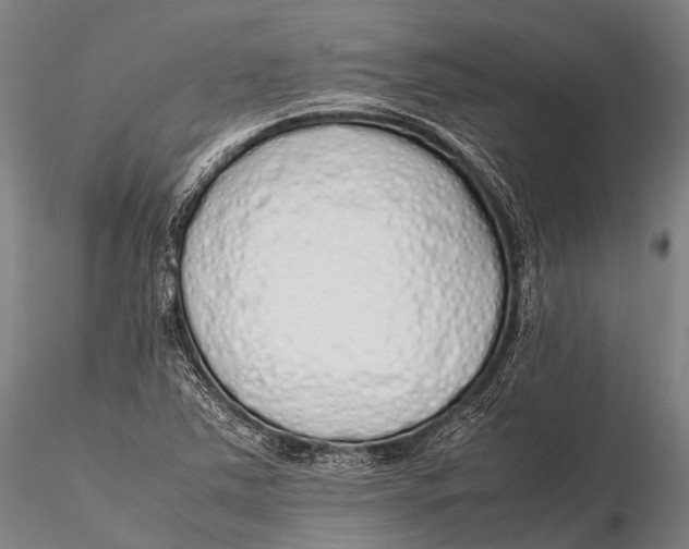 X0000115621363200912011605