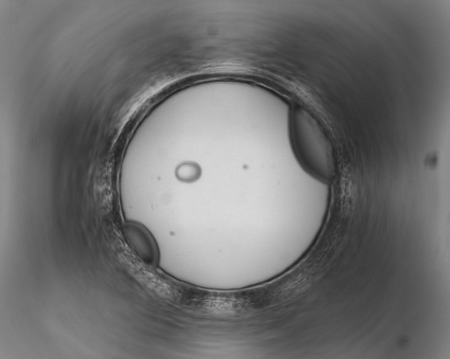 X0000115621364200912011605