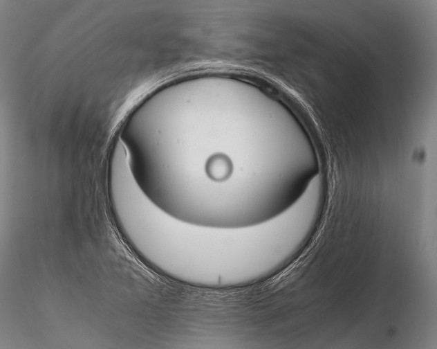 X0000115621365200912011605