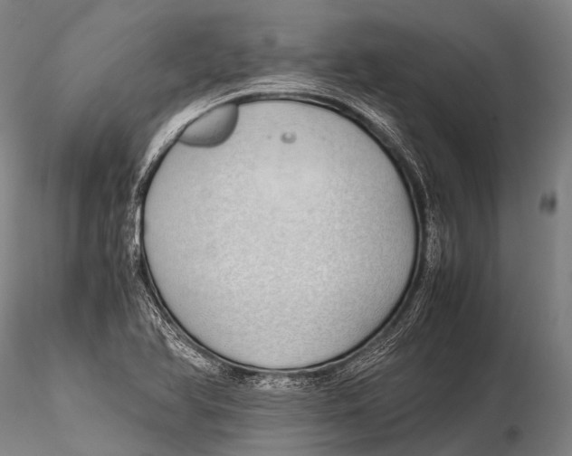 X0000115621366200912011605