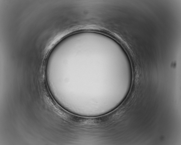 X0000115621367200912011605