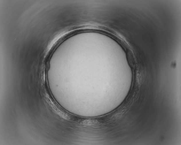 X0000115621368200912011605