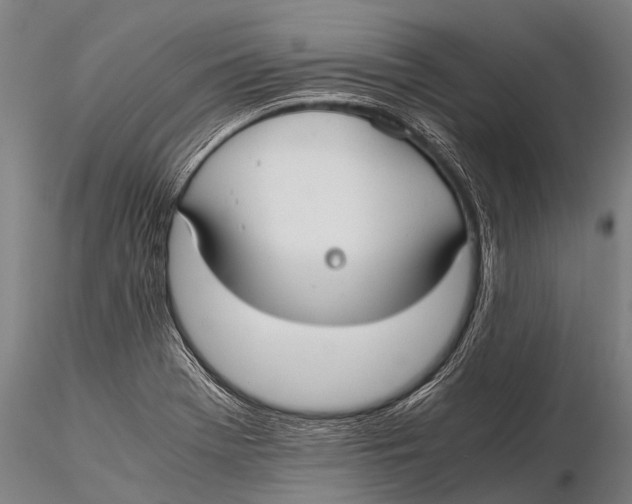 X0000115621369200912011605