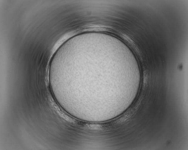 X0000115621370200912011605