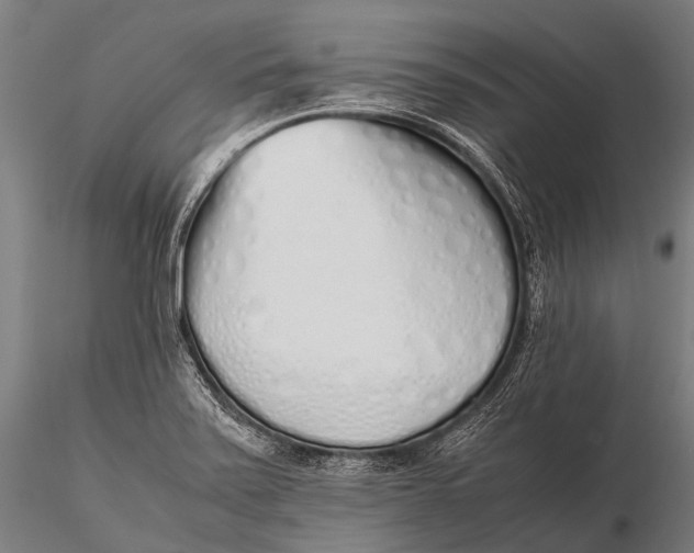 X0000115621371200912011605