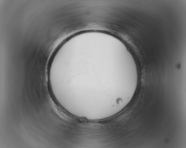 X0000115621372200912011605