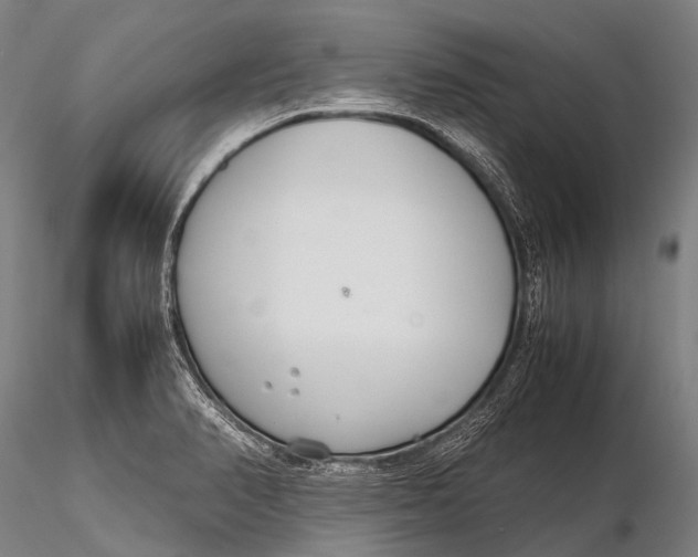 X0000115621374200912011605