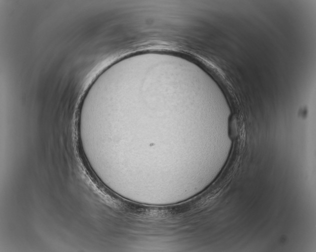 X0000115621375200912011605