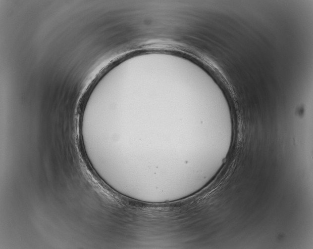 X0000115621376200912011604