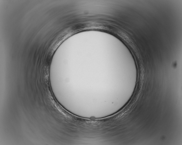 X0000115621377200912011604