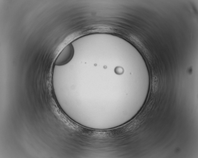 X0000115621378200912011604