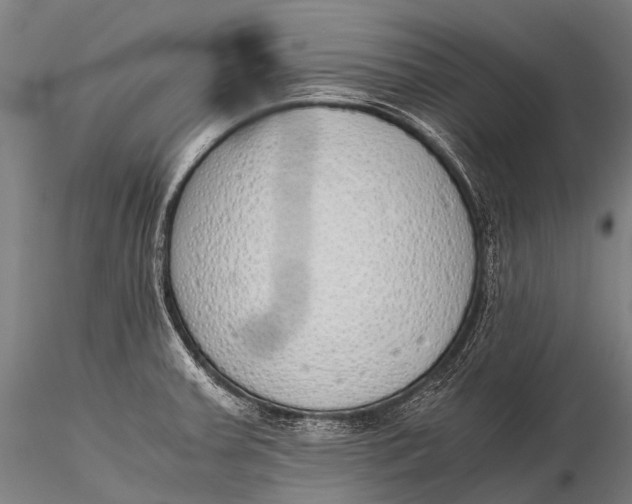 X0000115621379200912011604