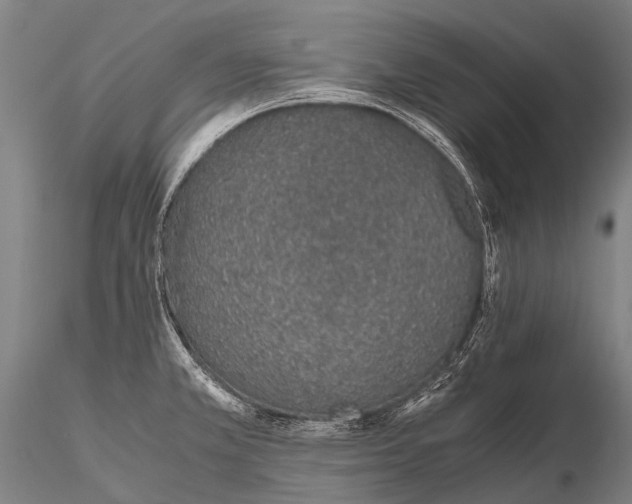 X0000115621381200912011604