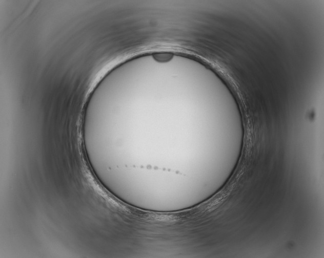 X0000115621382200912011604