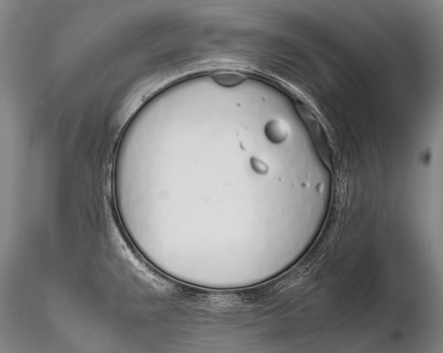 X0000115621383200912011604