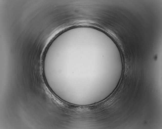 X0000115621384200912011604