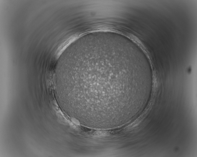 X0000115621385200912011604