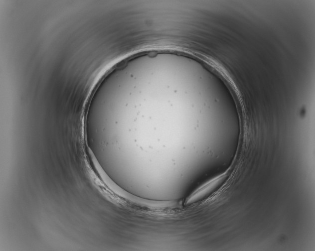 X0000115621388200912011604