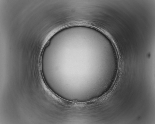 X0000115621389200912011604