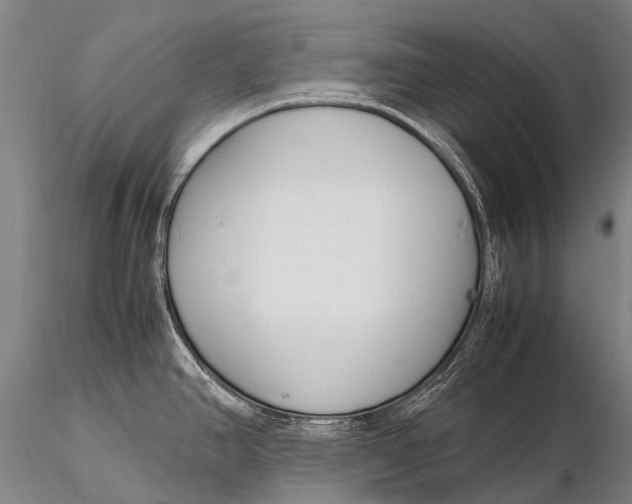 X0000115621390200912011604