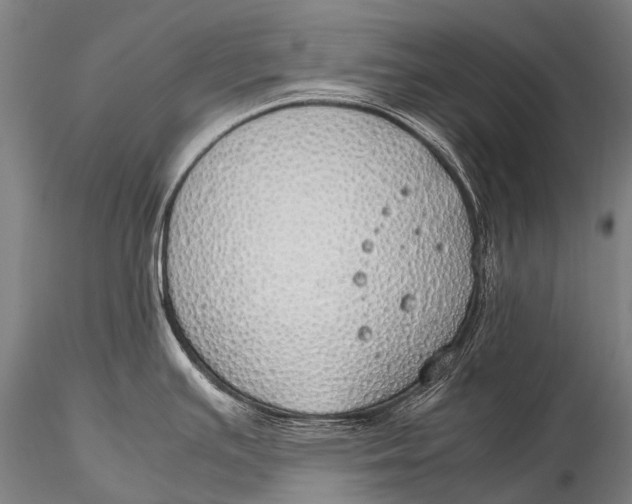 X0000115621391200912011604