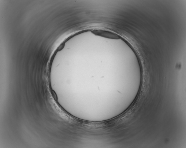 X0000115621392200912011604