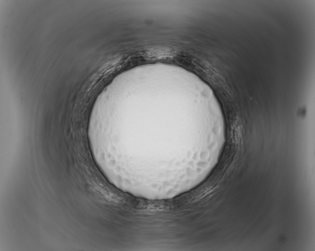 X0000115621393200912011604